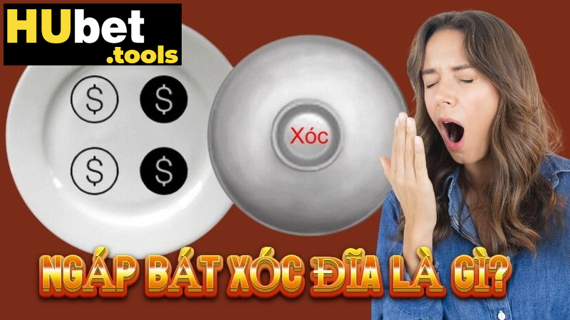 Ngáp bát xóc đĩa là gì? Bí kíp chơi chuẩn xác từ cao thủ Ngáp bát xóc đĩa là gì? Bí kíp chơi chuẩn xác từ cao thủ