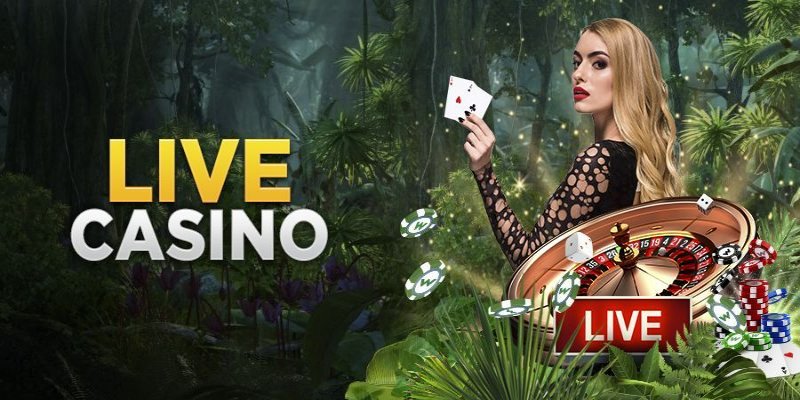 Sự tận tâm, chuyên nghiệp từ các cô Dealer nóng bỏng tại Live casino HUBET
