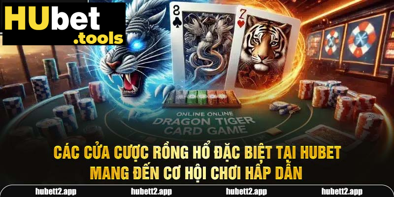 Các cửa cược Rồng Hổ đặc biệt tại HUBET mang đến cơ hội chơi hấp dẫn Các cửa cược Rồng Hổ đặc biệt tại HUBET mang đến cơ hội chơi hấp dẫn