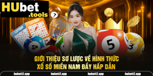 processed gioi thieu so luoc ve hinh thuc xo so mien nam day hap dan